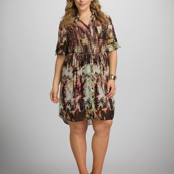 COPY - Roz & Ali Collared Shirt Dress with waist tie - Picture 1 of 14